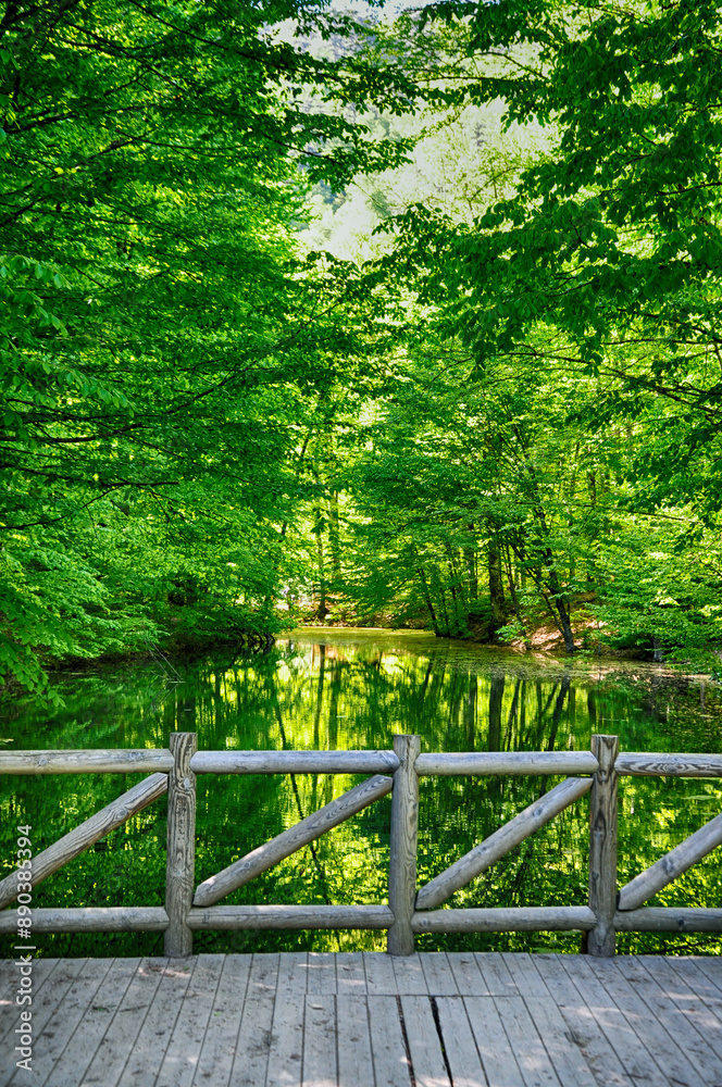 Beautiful nature view in Seven Lakes (Yedi Goller) National Park, Bolu, Turkey. Beautiful nature view in Seven Lakes (Yedi Goller) National Park, Bolu, Turkey.