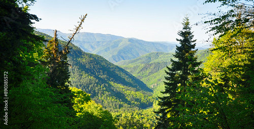 Beautiful nature view in Seven Lakes (Yedi Goller) National Park, Bolu, Turkey. photo