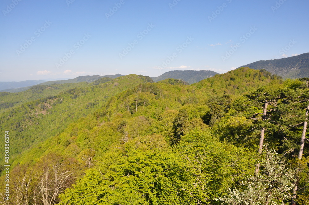 Obraz premium Beautiful nature view in Seven Lakes (Yedi Goller) National Park, Bolu, Turkey.