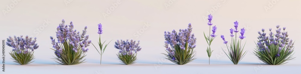 Flower plant with lavender blossoms hyperrealistic and highly detailed isolated on transparent background Flower plant with lavender blossoms hyperrealistic and highly detailed isolated on transparent background