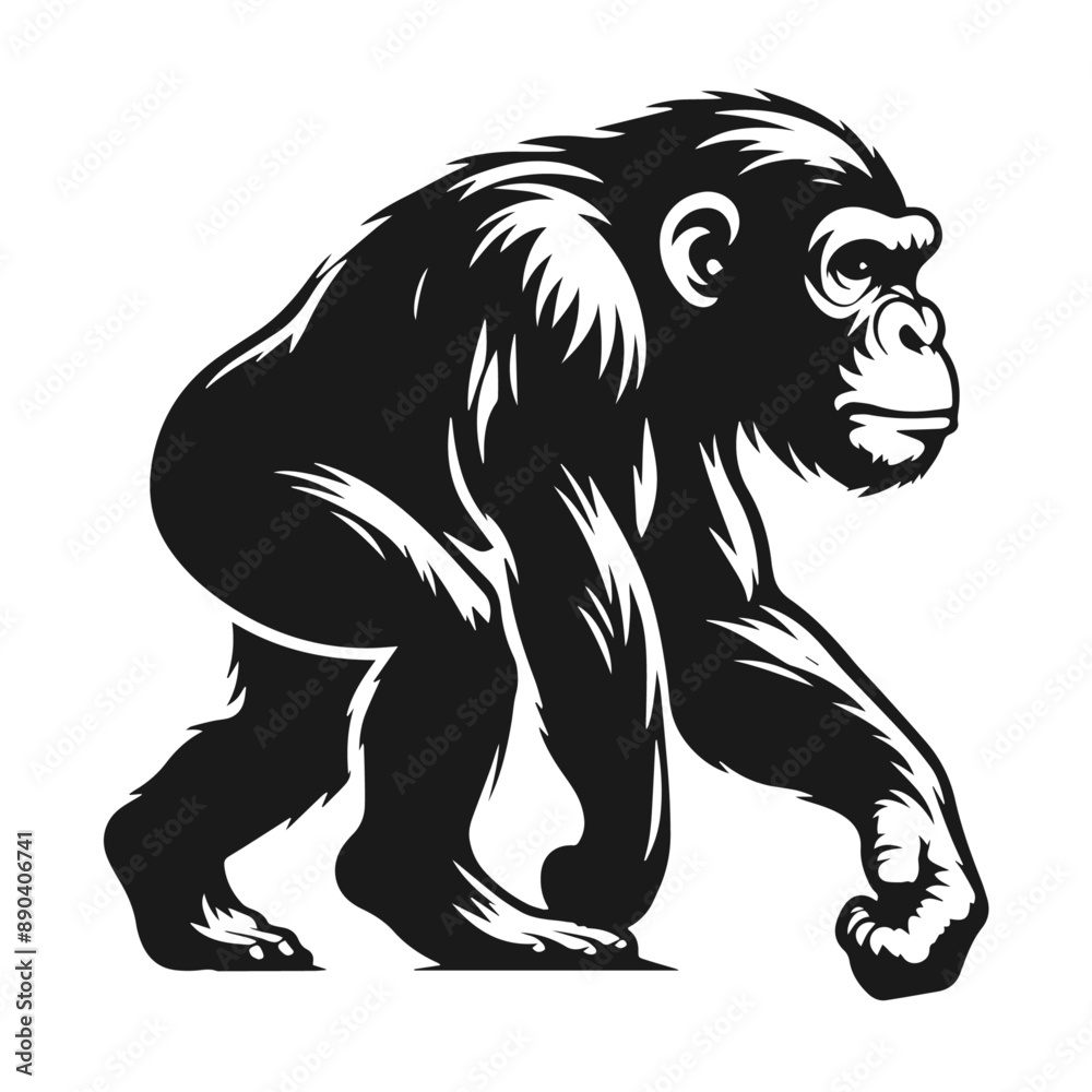 Obraz premium Black and white vector silhouette of a Monkey isolated on white background 