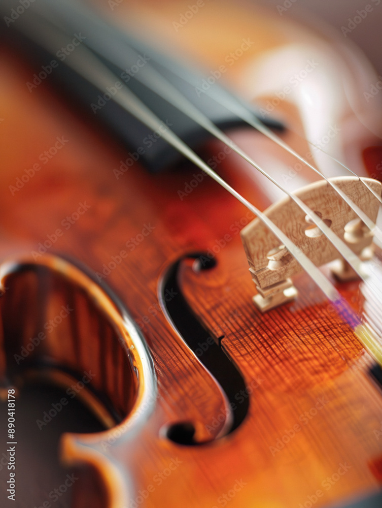 Fototapeta premium Detailed Violin Side View - Elegant Musical Instrument Art