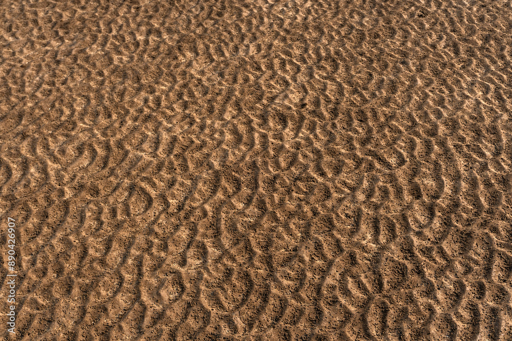 Natural texture: top view of beach sand, clear, clean and smooth. Minimalist background for summer concepts, travel, vacations and outdoor enjoyment. Natural texture: top view of beach sand, clear, clean and smooth. Minimalist background for summer concepts, travel, vacations and outdoor enjoyment.