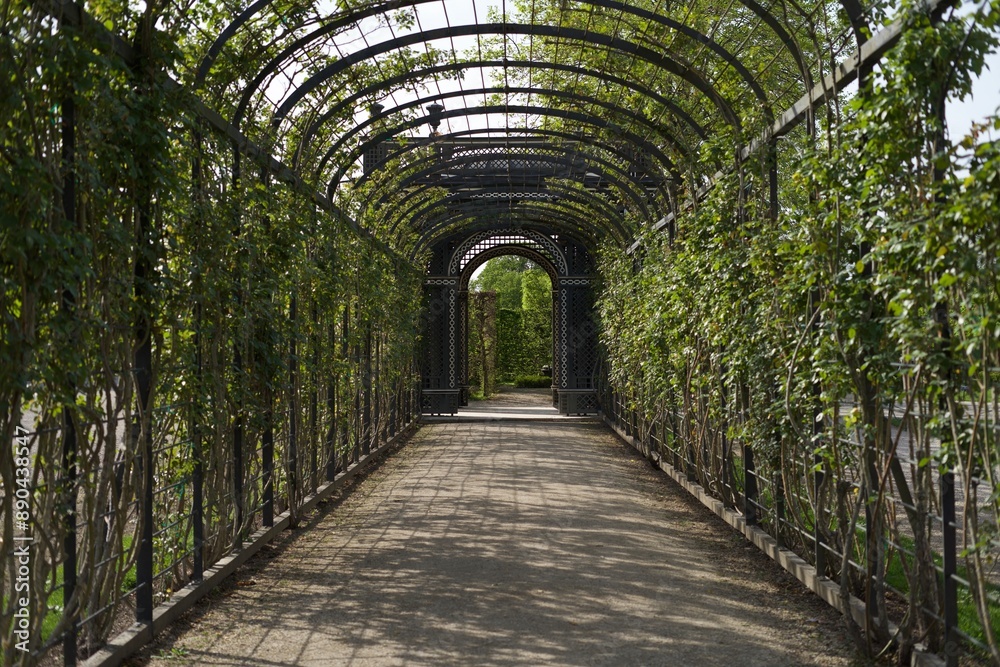 Pathway Through Arched Garden Trellis Pathway Through Arched Garden Trellis