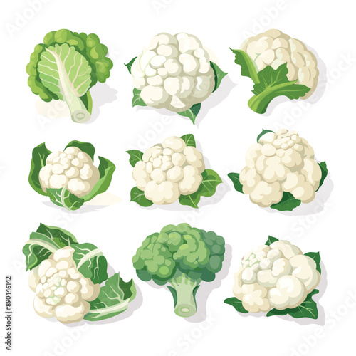 Cauliflower, Broccoli Vector Illustrations. Fresh, Organic, Healthy Food