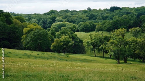 Landscape of Trees in Verdant Pasture