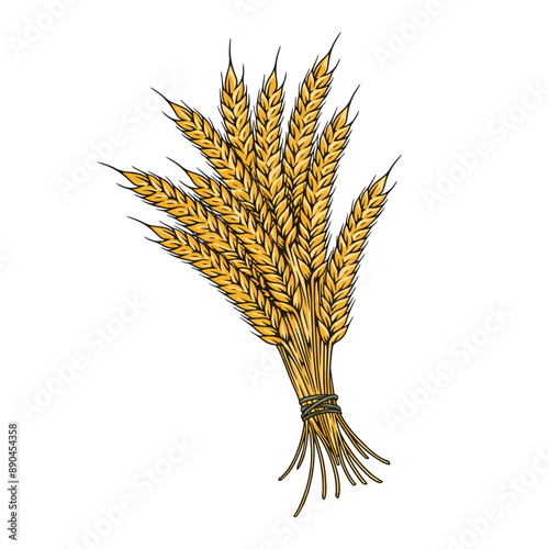 Spikelets wheat detailed emblem colorful