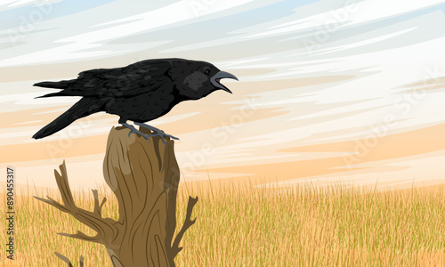A crow sits on a stump in a field with ripe wheat. Wild crow Corvus corax. Realistic vector landscape