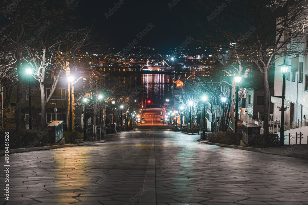 Fototapeta premium 【#函館】八幡坂から見た夜景