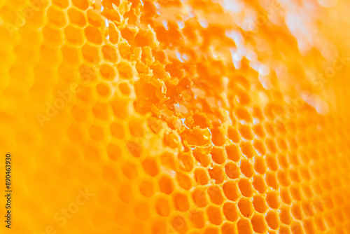 Delicious Bee Honey Drops on the Combs of Honey Cells Close Up photo