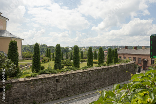 A row of thujas in the Kamianets-Podilskyi city