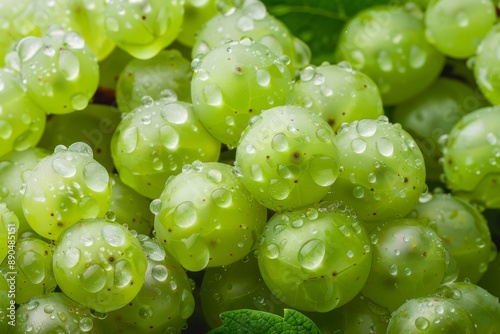 Sauvignon Blanc Grape background photo