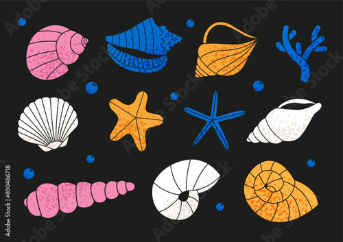 Set of sea shells and starfishes