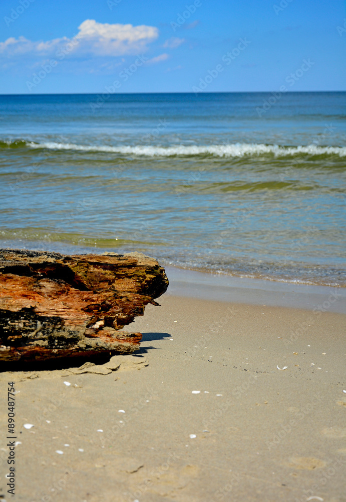 drewno na plaży na tle morza, kawałek drwena na plaży, malowniczy pejzaż nadmorski, log on the sand on the sea shore, beach scene with a large log and sand