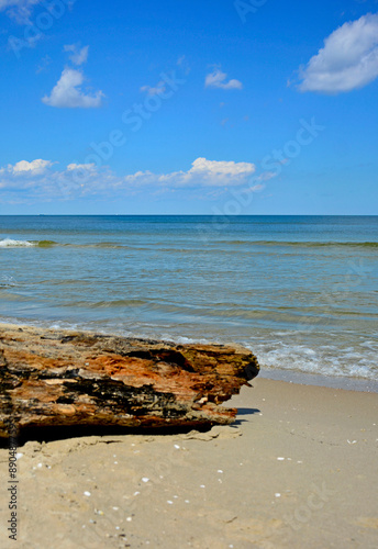 drewno na plaży na tle morza, kawałek drwena na plaży, malowniczy pejzaż nadmorski, log on the sand on the sea shore,  beach scene with a large log and sand