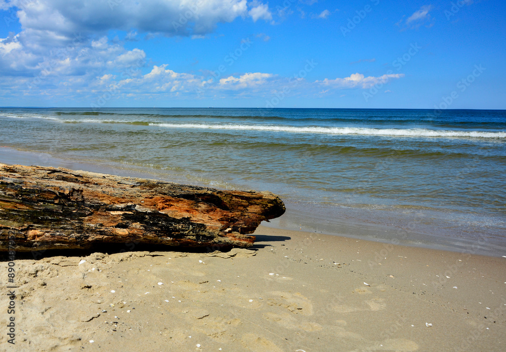 drewno na plaży na tle morza, kawałek drwena na plaży, malowniczy pejzaż nadmorski, log on the sand on the sea shore, beach scene with a large log and sand