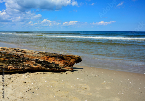 Obraz na płótnie drewno na plaży na tle morza, kawałek drwena na plaży, malowniczy pejzaż nadmorski, log on the sand on the sea shore, beach scene with a large log and sand w salonie