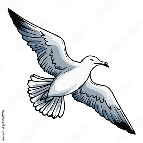 A white seagull with black wingtips flies against a white background