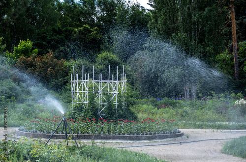 Spraying water on the site for irrigation. photo