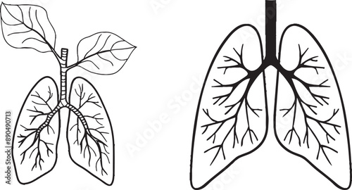 An editable monoline illustration of human lungs. An internal organ in simple linear style with a simple awareness concept about asthma and tuberculosis in editable strokes.