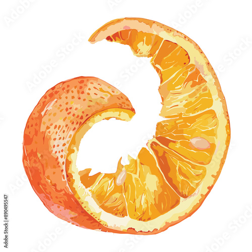 Orange peel, citrus fruit, food, healthy, natural,  organic,  vitamin c,  fresh,  zest,  skin,  juice,  rind,  peel,  isolated,  white background,  illustration,  watercolor,  digital art