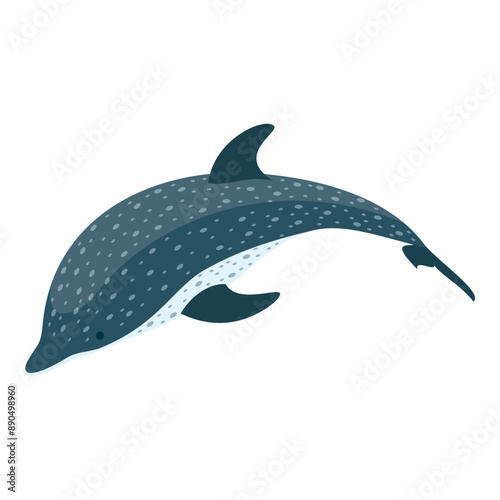 3D Isometric Flat Vector Set of Types Of Dolphins, Educational Classification. Item 1