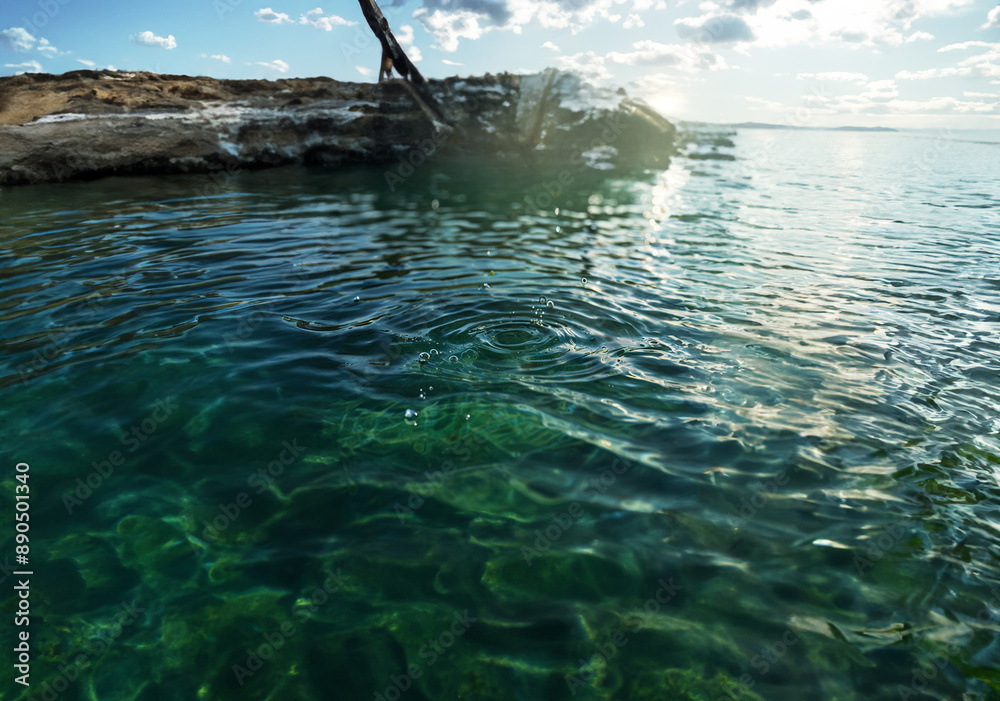 Fototapeta premium Ripples in a pond from a falling leaf.