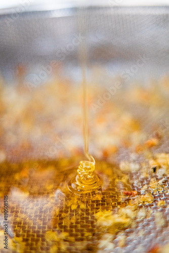 Viscouse Sweet Bee Honey Dripping Down Into the Sieve Net Extreme Close Up