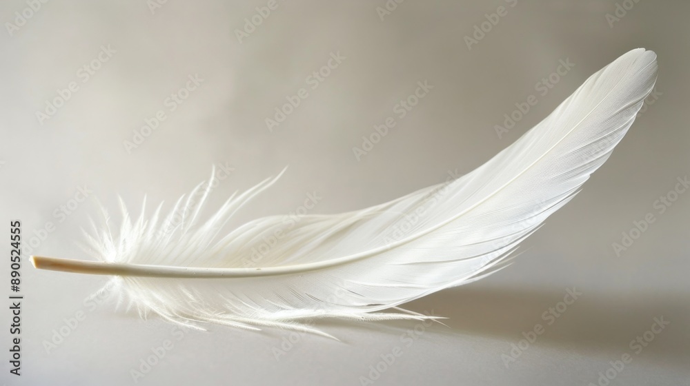 Obraz premium Single White Feather On White Background.