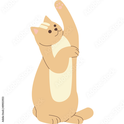 Cute Cat Illustration