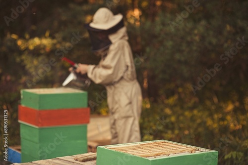 Rural and natural beekeeper, working to collect honey from hives