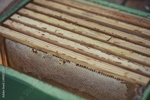 Rural and natural beekeeper, working to collect honey from hives