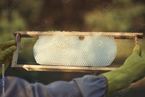 Rural and natural beekeeper, working to collect honey from hives