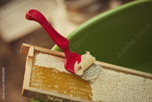 Rural and natural beekeeper, working to collect honey from hives