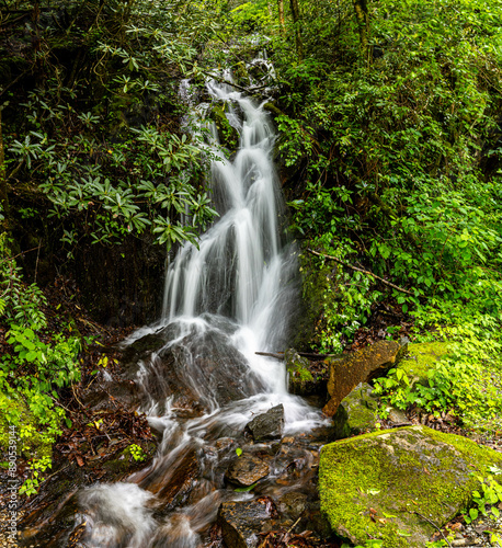 Small Hillside Cascade on The Middle Prong of The Little River Near Tremont, Great Smoky Mountains National Park, Tennessee, USA