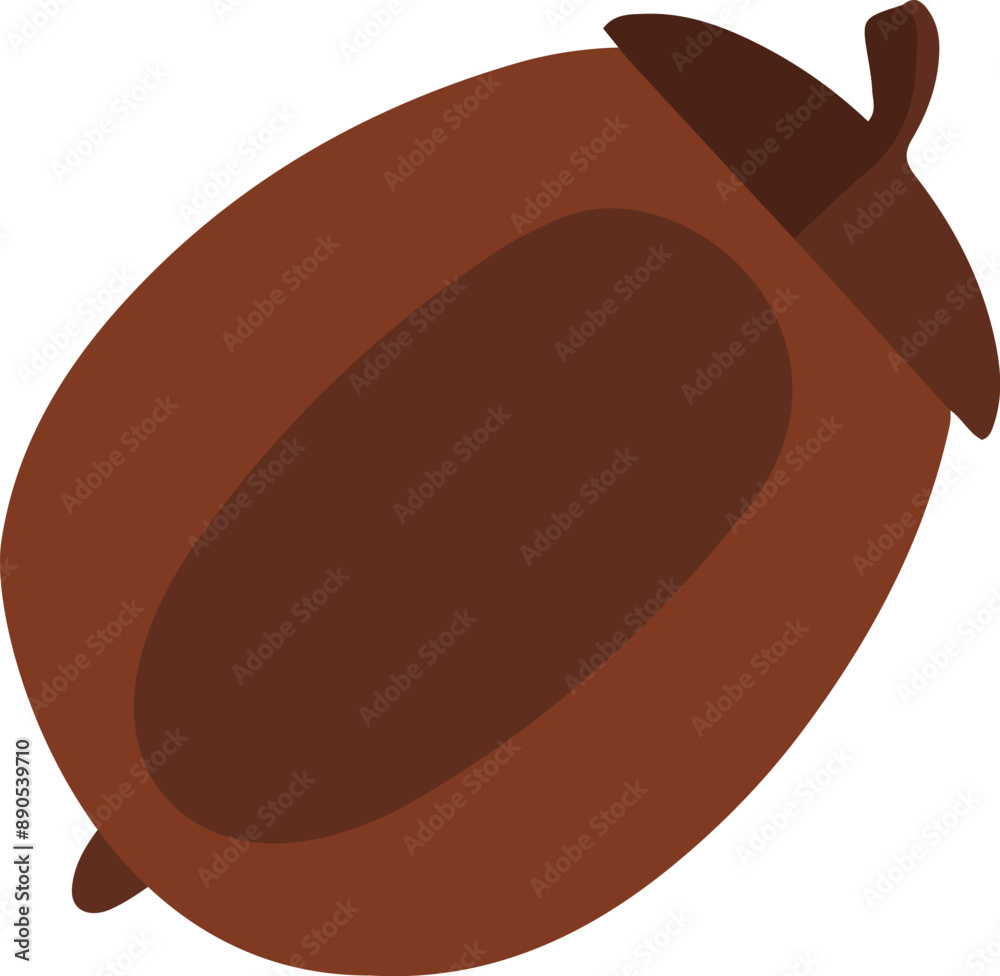 Brown Acorn Brown Acorn