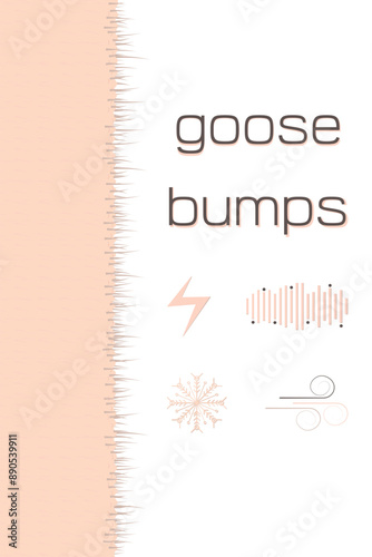 Border Goosebumps on the skin poster.  Frame Goosebump arrector pili muscle hair straight up. Goose bumps ants on skin banner.