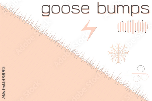 Border Goosebumps on the skin poster.  Frame Goosebump arrector pili muscle hair straight up. Goose bumps ants on skin banner.