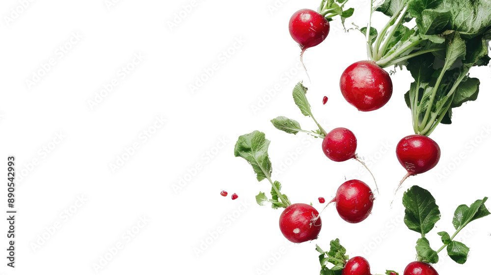 Beet transparent background