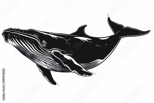 a black and white whale