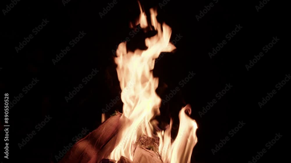 Flames in a campfire against a black background. The fire burns at night. Close-up. Flames in a campfire against a black background. The fire burns at night. Close-up.