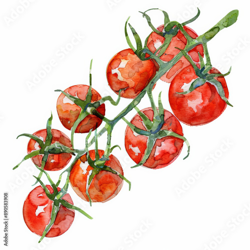 A watercolor illustration of fresh cherry tomatoes on the vine, showing their vibrant red color and green stems, isolated on white background. photo