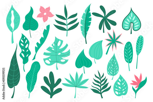 Tropical leaves. Palm set cartoon style, doodle colorful icon. Abstract design summer isolated decorative elements, spa nature, fashion illustration, spring leaf plant. Vector garish floral collection