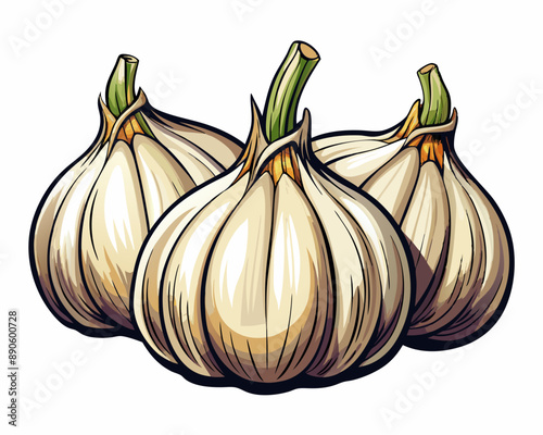 illustration Vector of fresh garlic on isolated white background, vegetabes and fruit cartoon photo