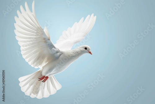 Flying white dove on a isolated blue background, peace and freedom symbol bird