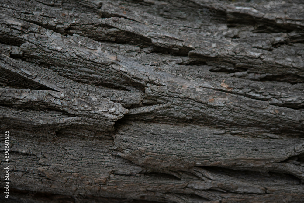 Dark texture of tree bark, wooden background Dark texture of tree bark, wooden background