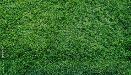 Wallpaper Mural Natural fresh green grass cut out backgrounds 3d rendering Torontodigital.ca