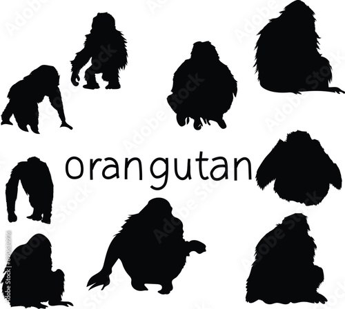 set of silhouettes of animals orangutan silhouette 
