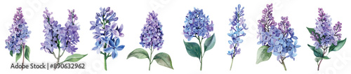 Set collection of purple violet lilac flowers branches hand drawn watercolor design resources elements