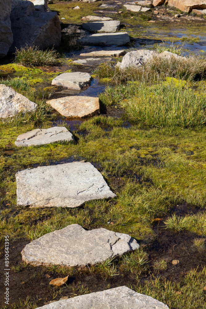 stream in the mountains